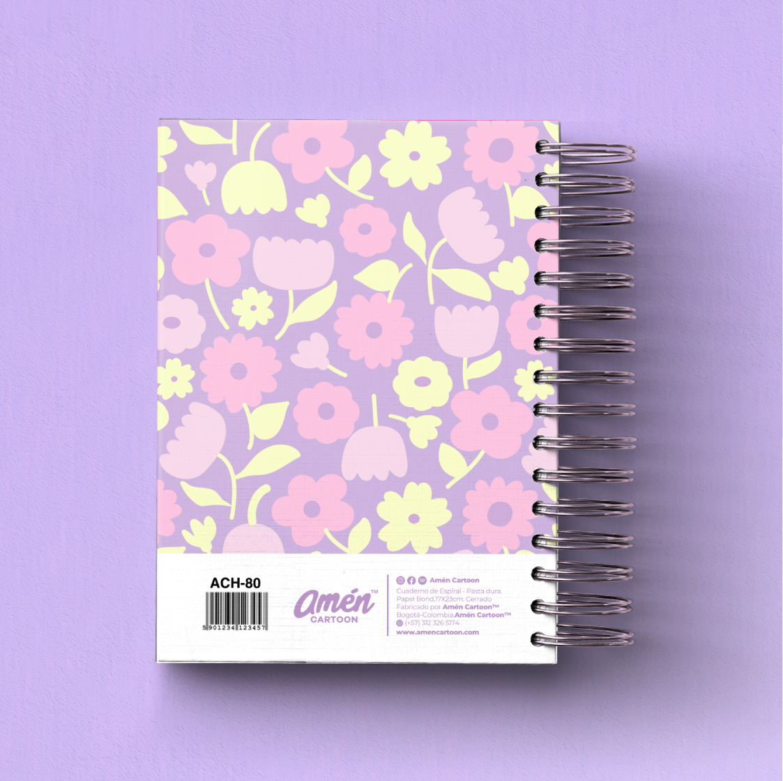 AGENDA 6 MESES