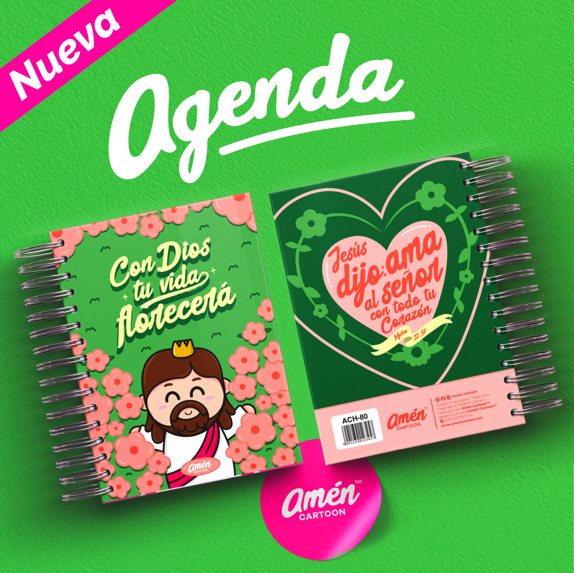 AGENDA 6 MESES