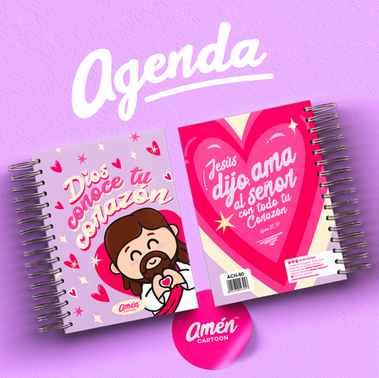 AGENDA 6 MESES