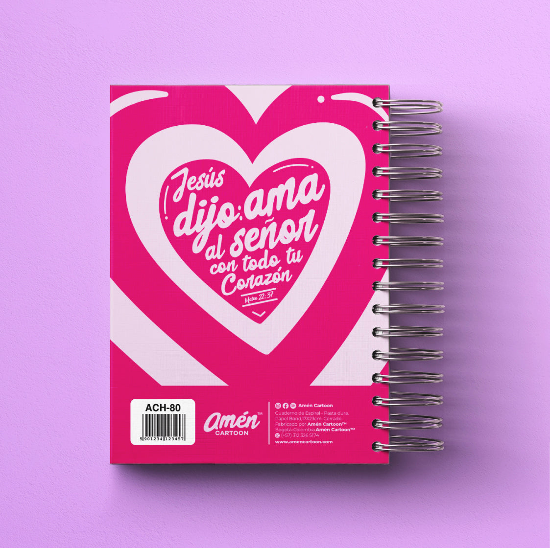 AGENDA 6 MESES