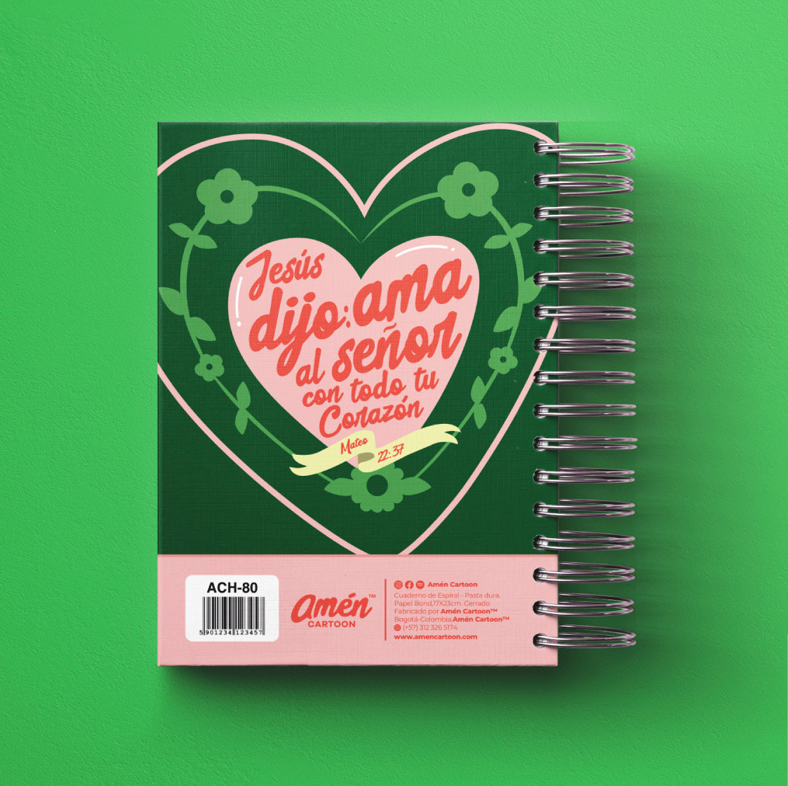 AGENDA 6 MESES