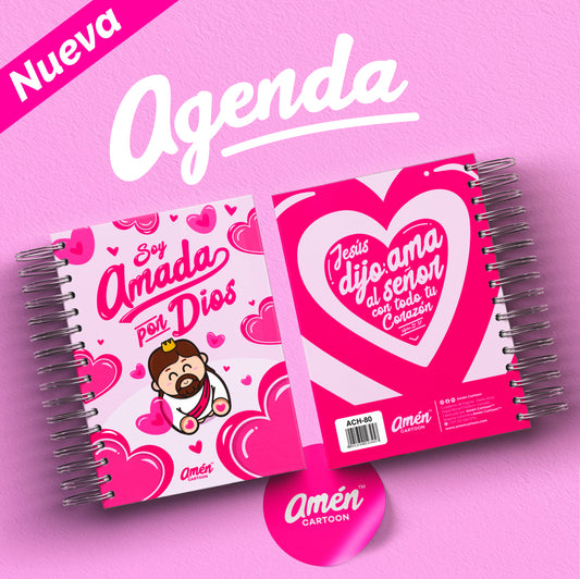 AGENDA 6 MESES