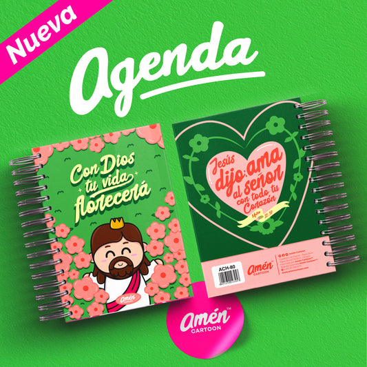 AGENDA 6 MESES