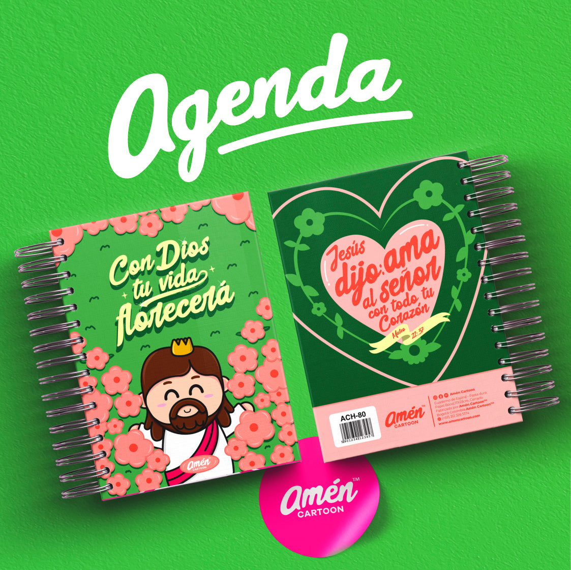 AGENDA 6 MESES